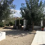 Relax en la huerta de Murcia