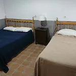 Palmar 0