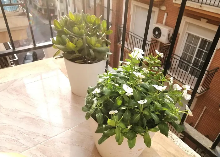 Centrico Apartamento Vara De Rey