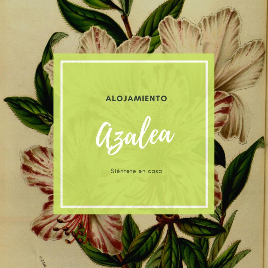 Apartamento ático Azalea - Corazón Del Carmen, Doble Balcon, Wifi