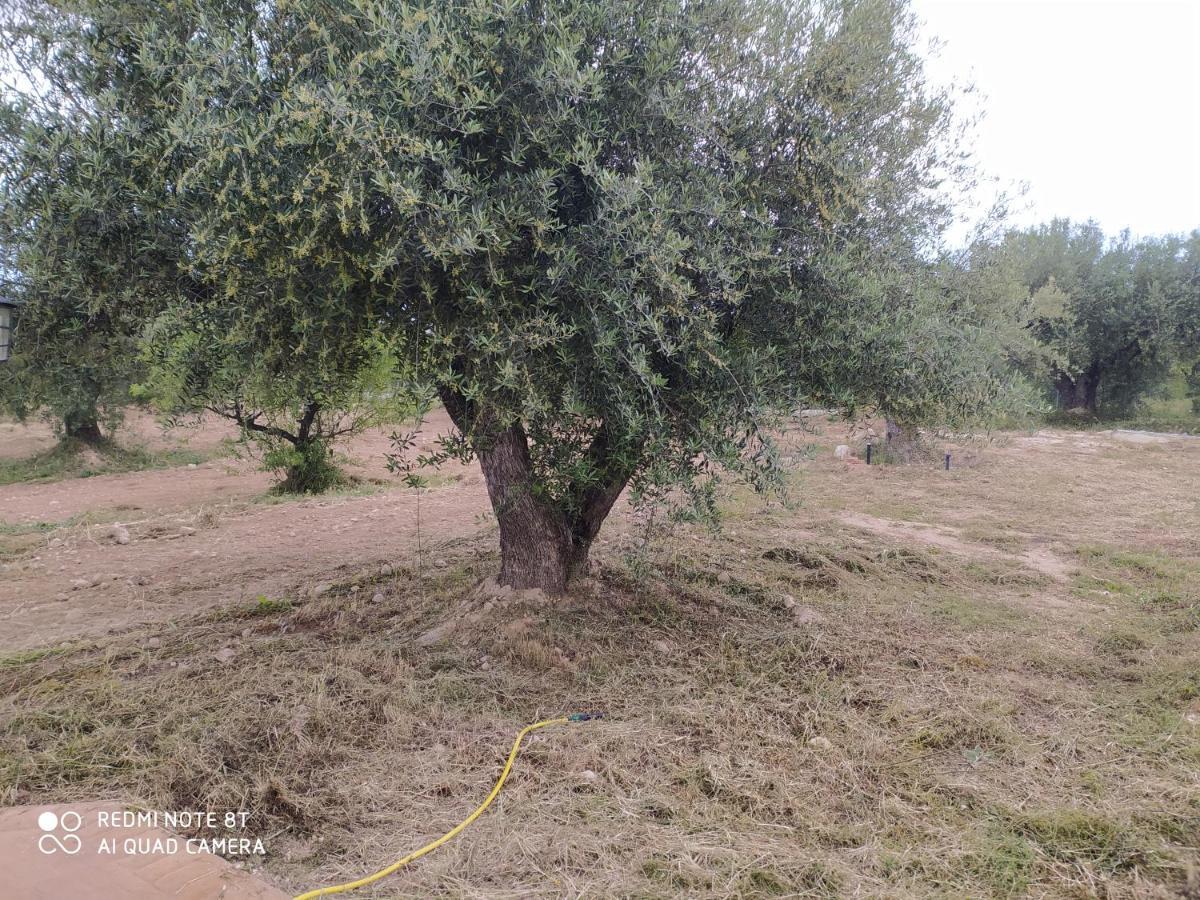 Cortijo Oliveras Moratalla Сasa de vacaciones *