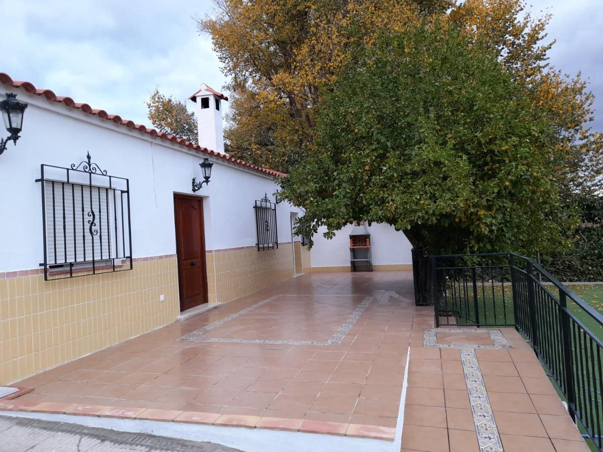 Rurales Villora