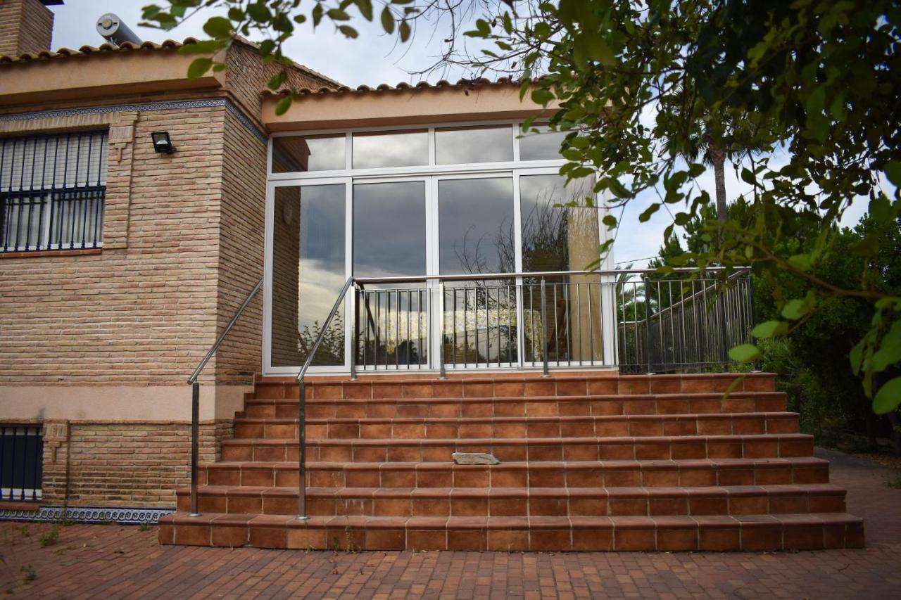 Salvadora Luminosa