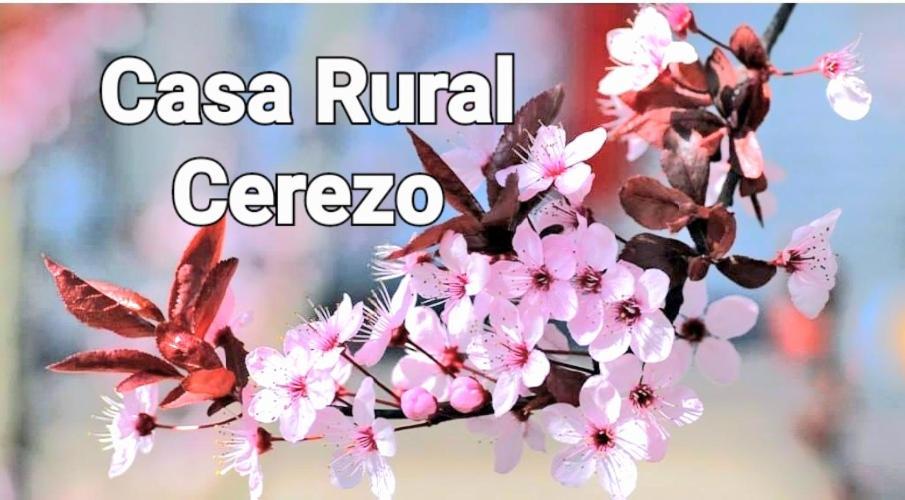 Alojamiento Rural Cerezo Murcia