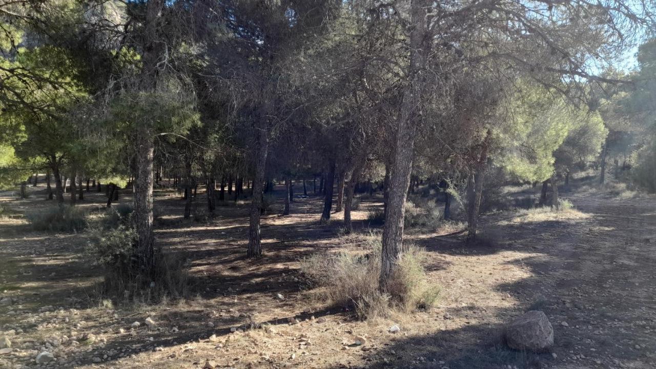 Apartamento Piso Con Balcon La Alberca, Murcia