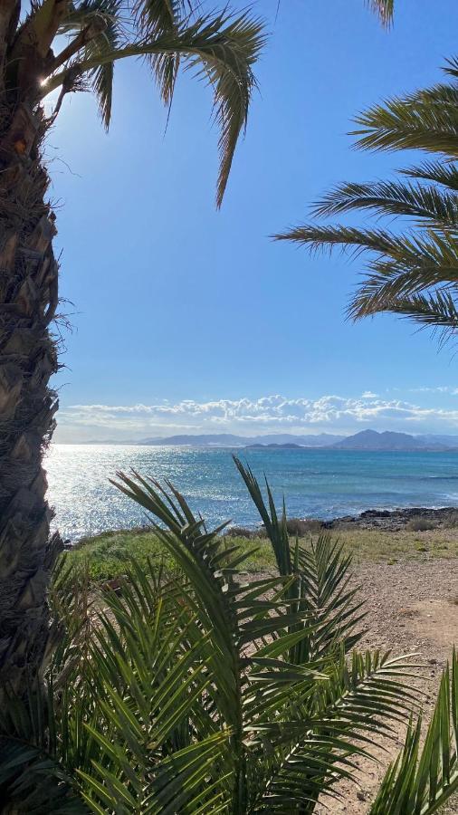 Apartamento En Primera Linea De Mar. *
