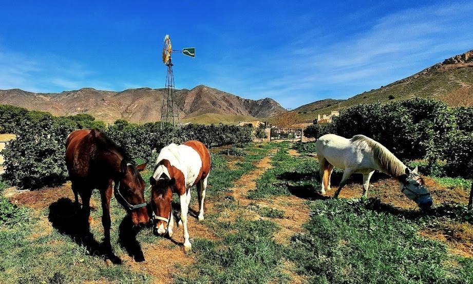Ecoturismo Cabo Tinoso Casa rural