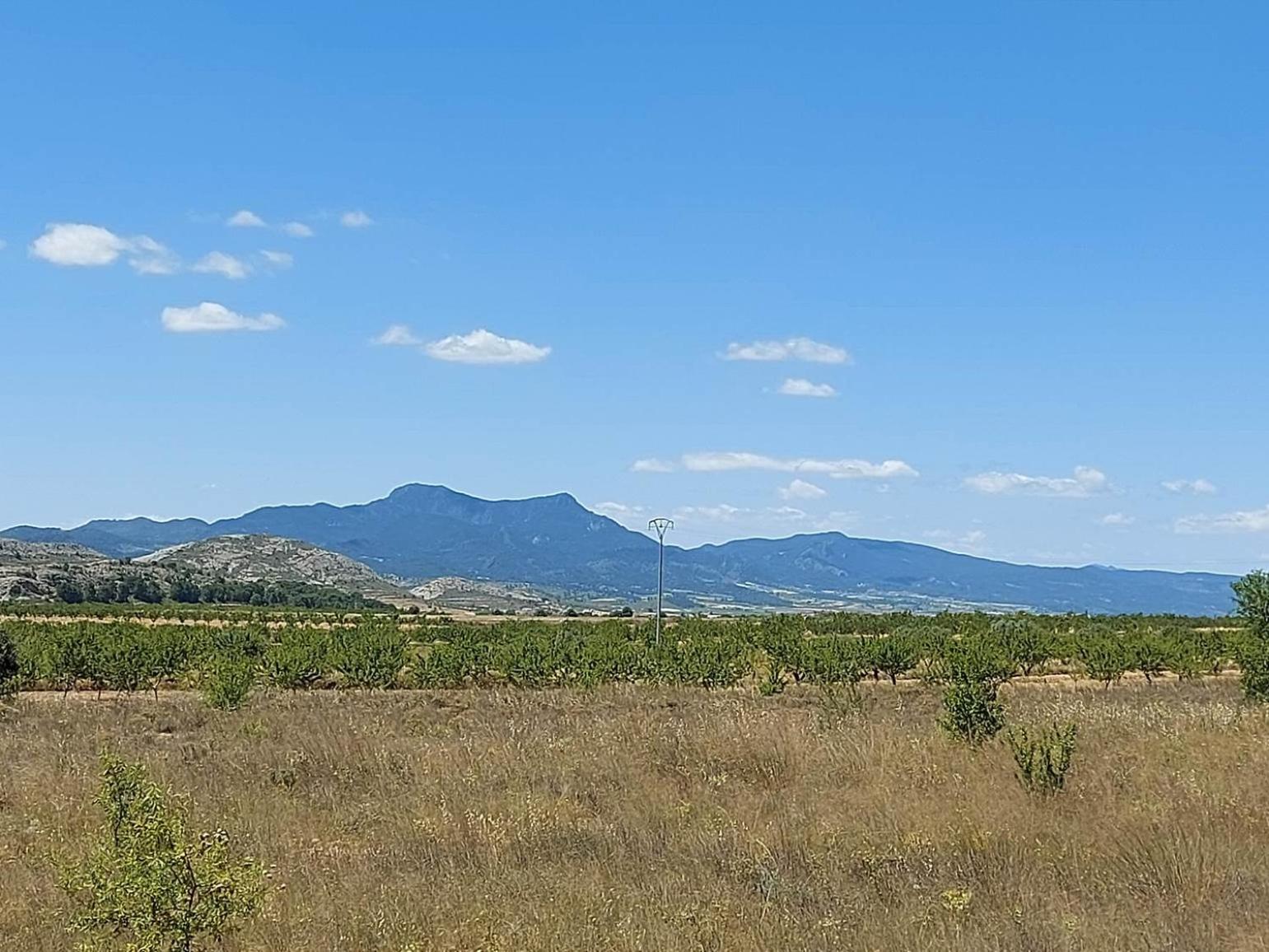 Pinoso Mountain View Mobile Alicante Med Syndicate 4 Murcia
