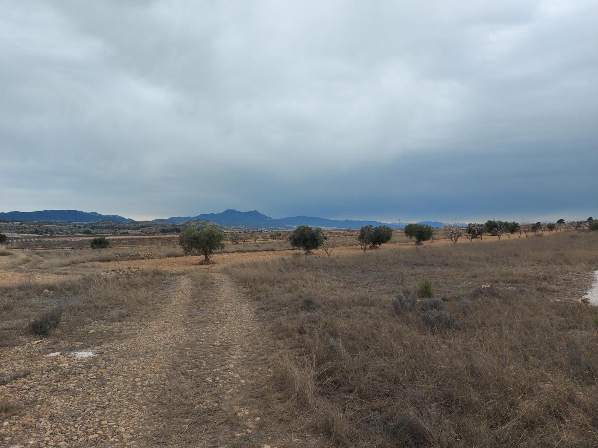 Pinoso Mountain View Mobile Alicante Med Syndicate 4