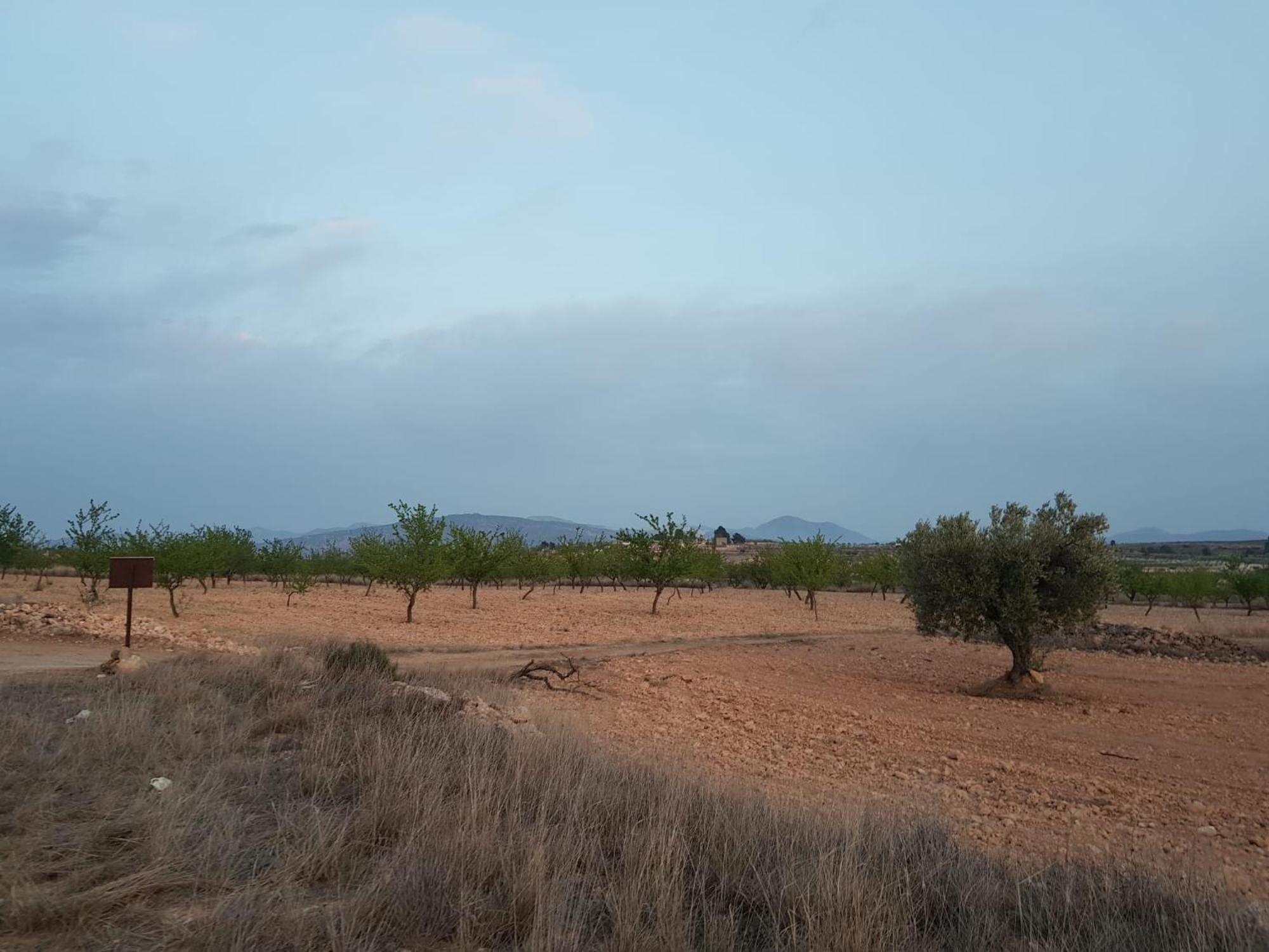 Pinoso Mountain View Mobile Alicante Med Syndicate 4 Сasa de vacaciones Murcia