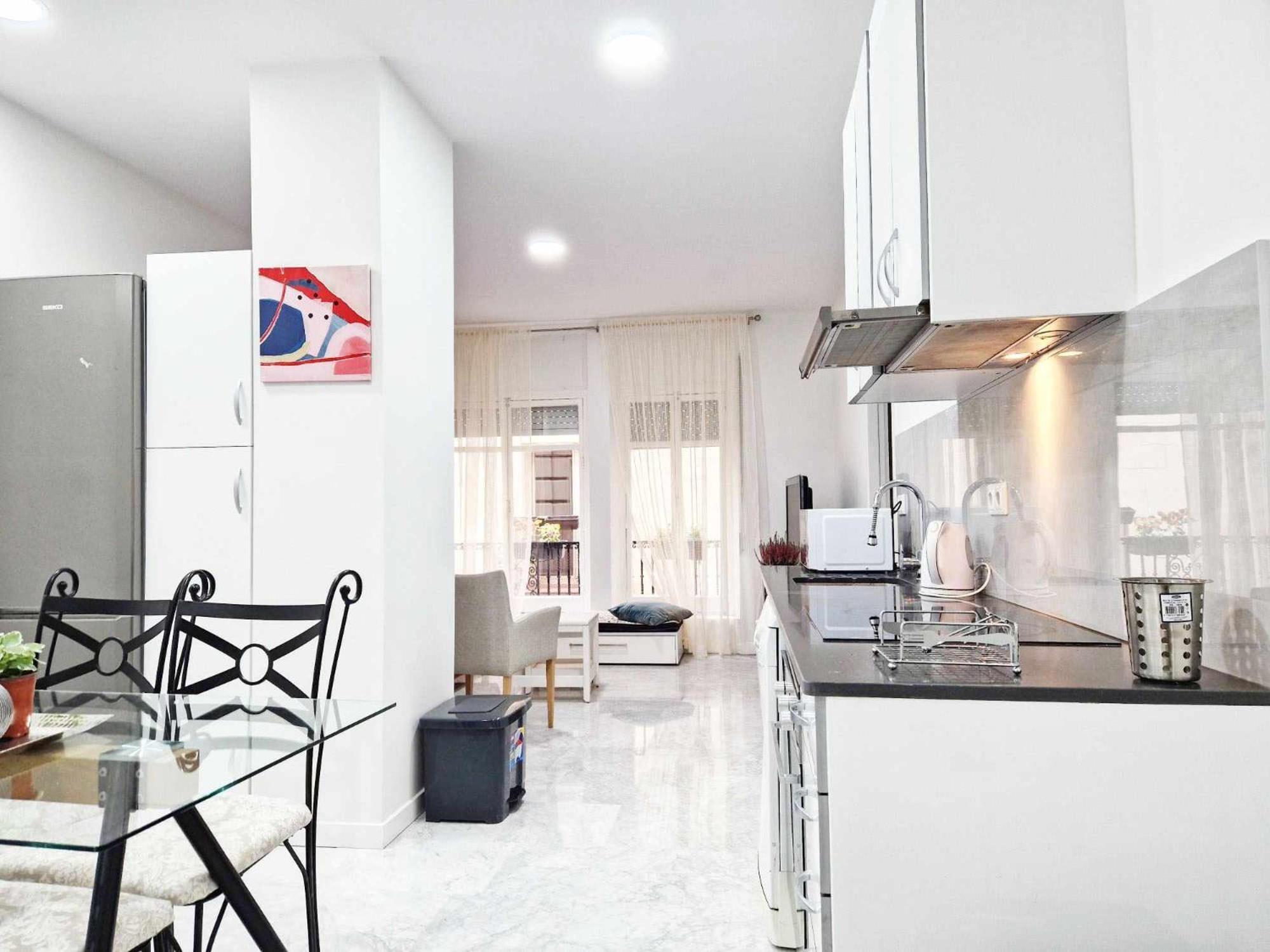 Apartment Fenix