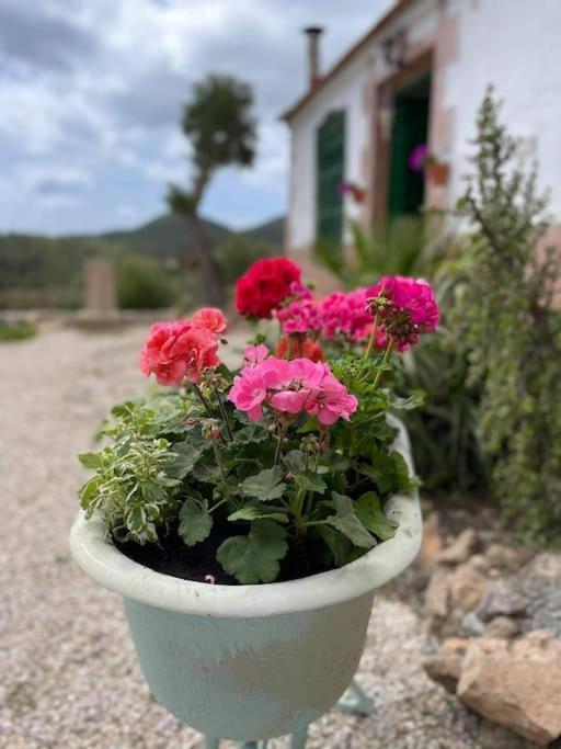 La Casa De Ladrillo, Relax Y Trekking House. Holiday home