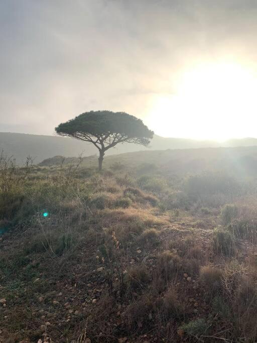 Holiday home La Casa De Ladrillo, Relax Y Trekking House.