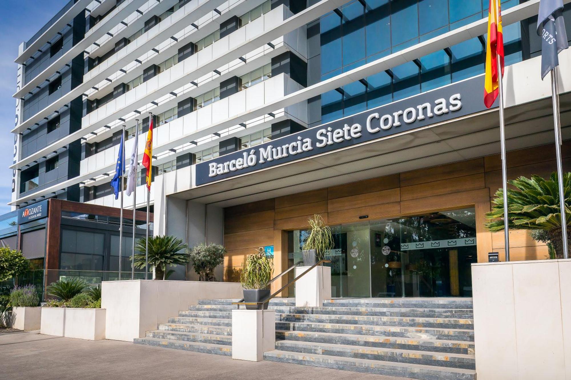 Hotel Occidental Siete Coronas