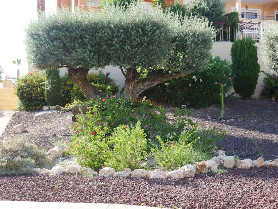 Excelente Duplex En Altaona Golf Resort-piscinas Apartamento Murcia