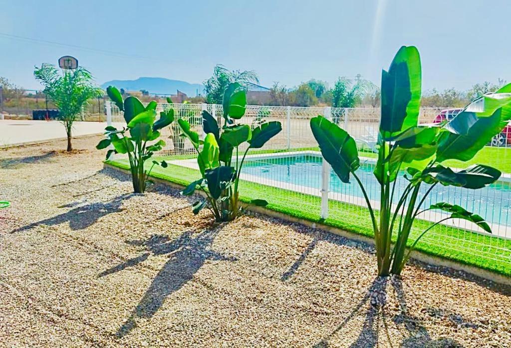 Casa Rural Arizona En Cartagena