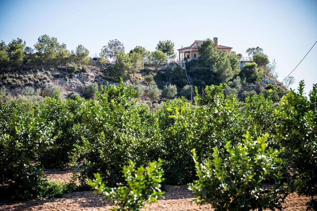 Casa Cima Murcia