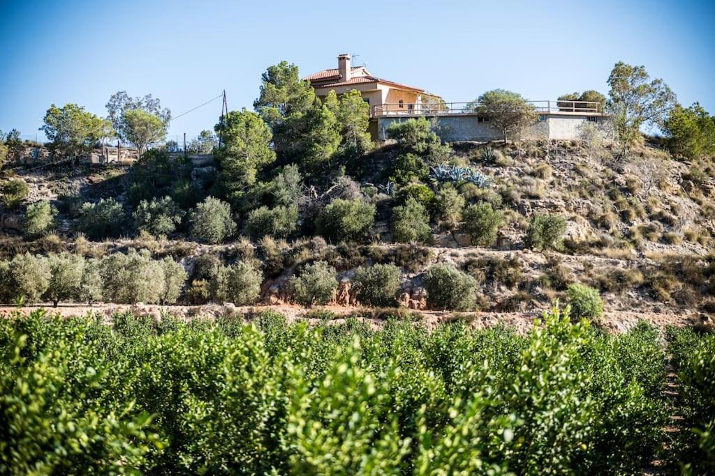 Casa Cima
