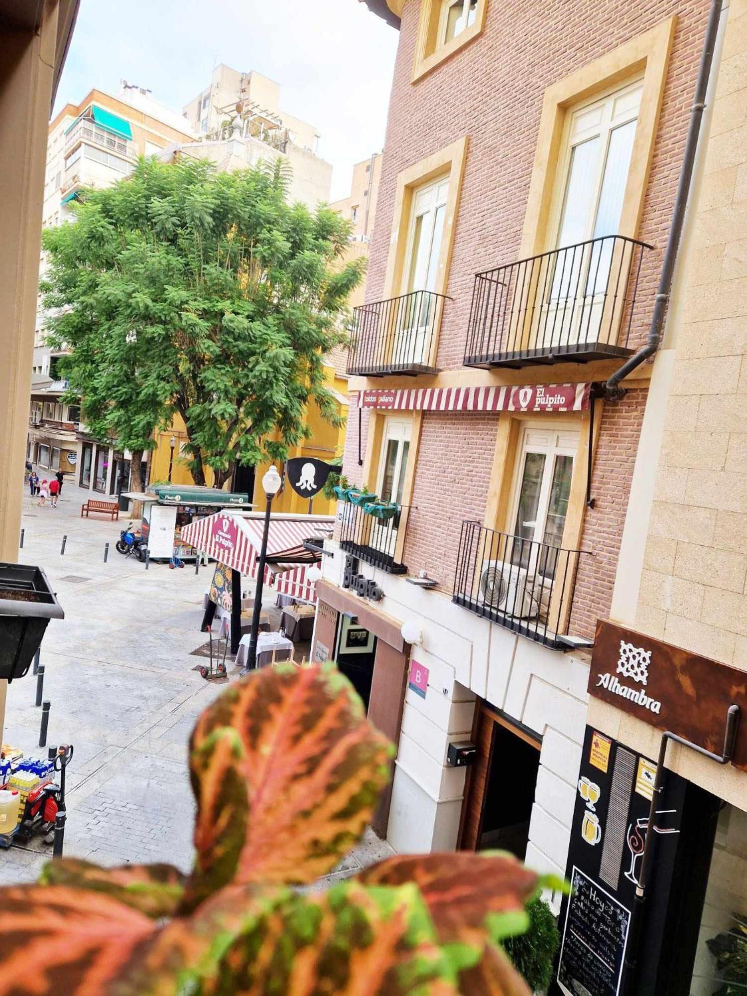 Apartamento Fenix