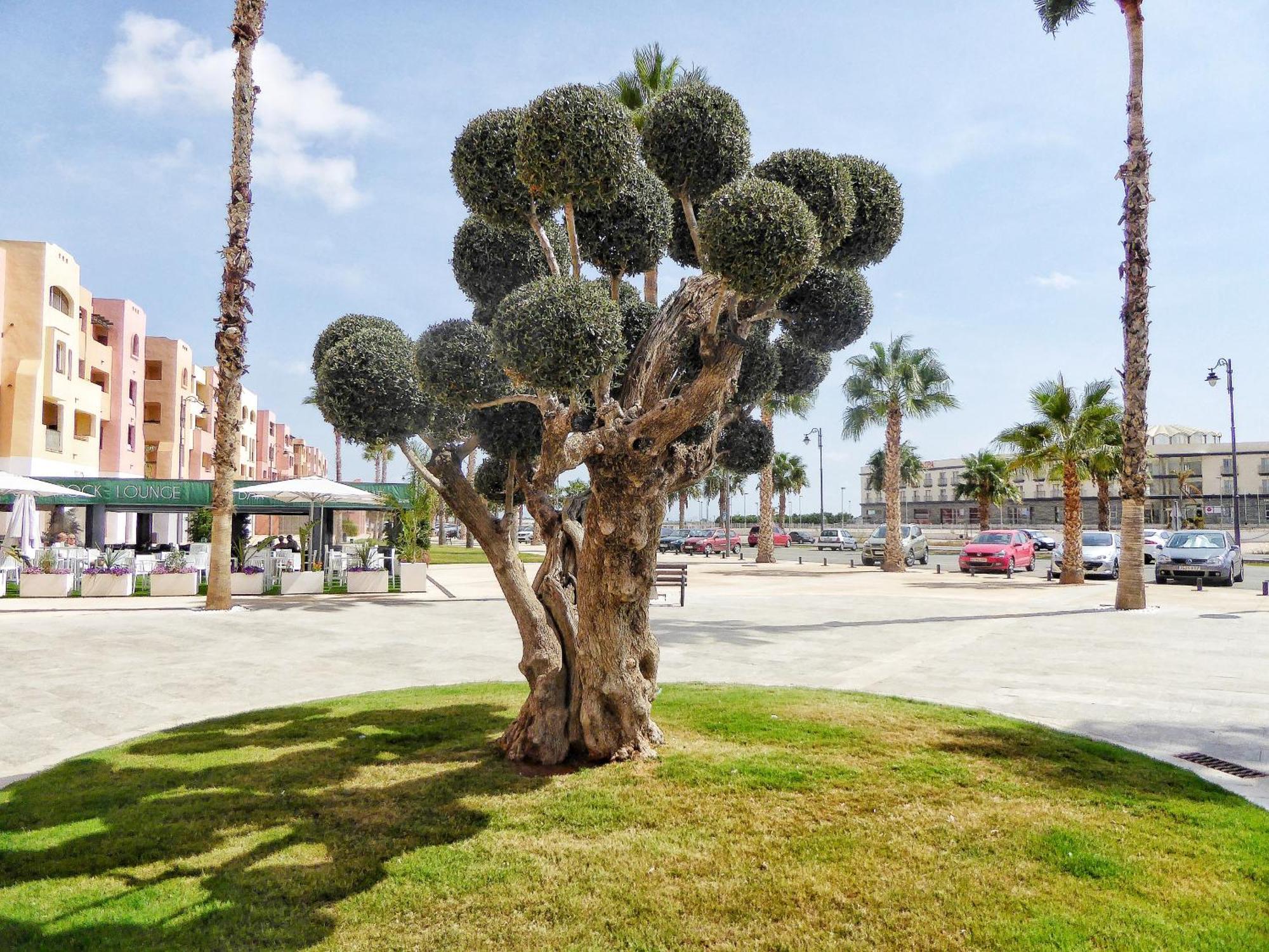 Mar Menor Golf 2 Free Pool, Padel Tennis, Gym Yoga Etc Apartamento