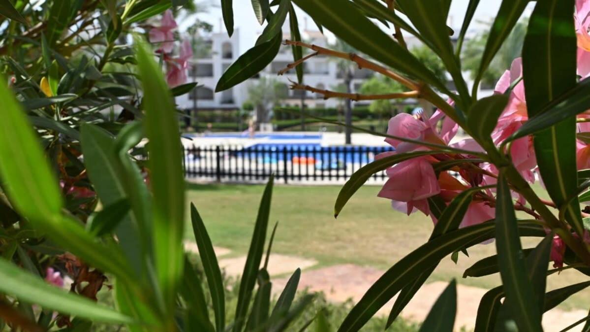 Bright Improved Ground Floor - Ba202lt Apartamento Murcia