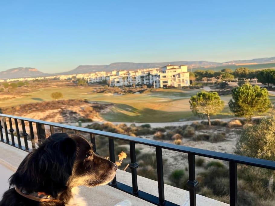 Myrtus Golf Apartamento *