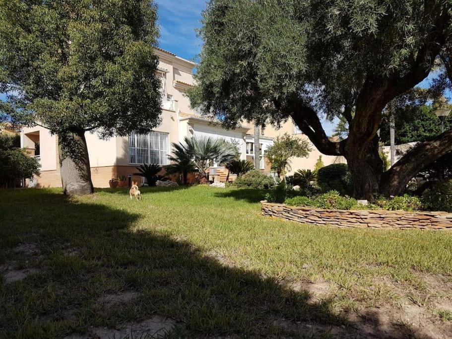 Villa & Piscina-jardin-barbacoa Murcia