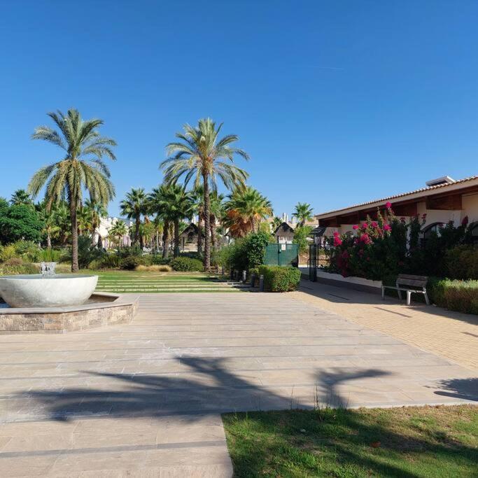 Apartamento Un Oasis En Hacienda Del Alamo *