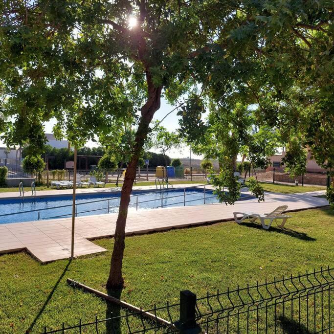 Apartamento Un Oasis En Hacienda Del Alamo