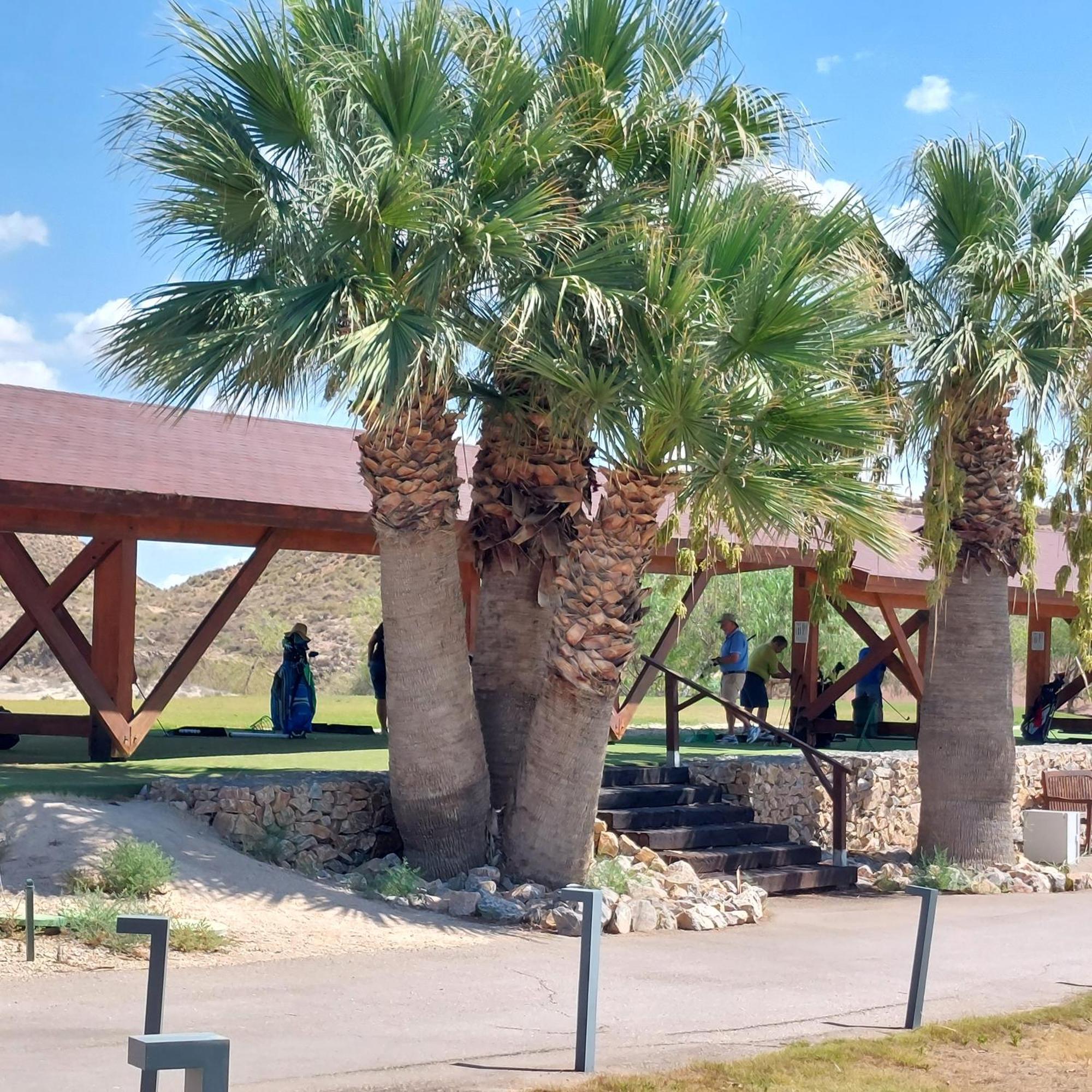 Duplex En Altaona Golf