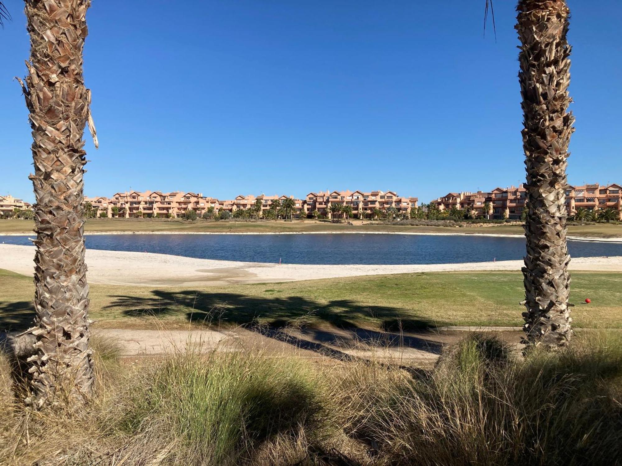 Tortuga - Mar Menor Golf * Murcia