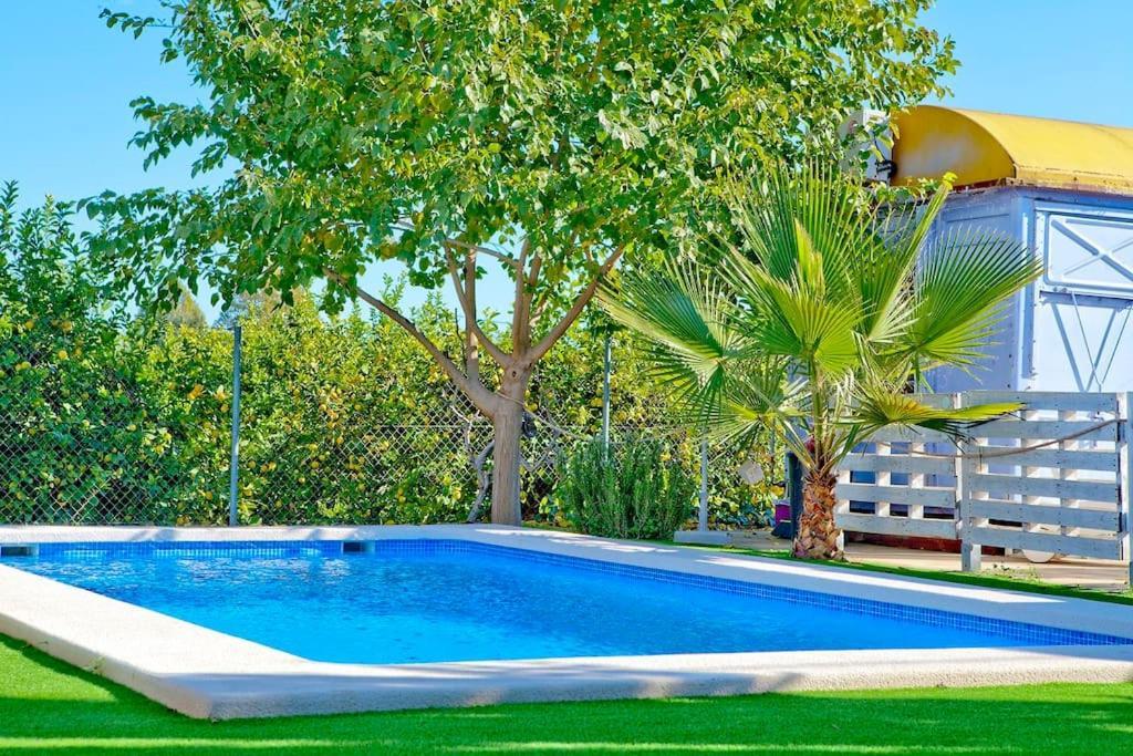 Oasistrain 01 - Piscina Murcia