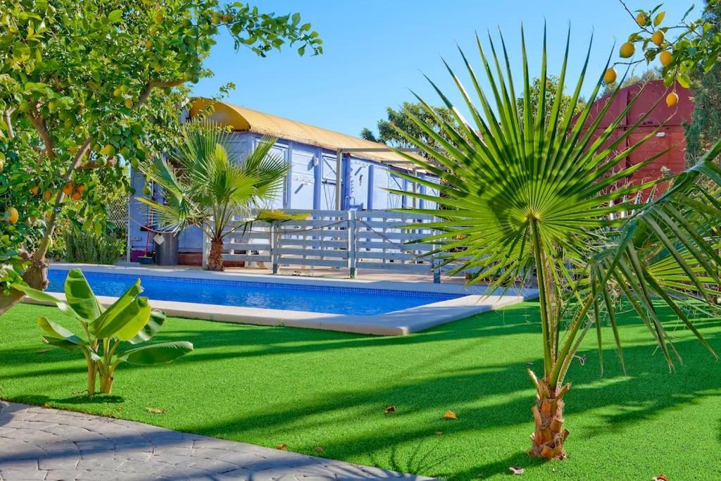 Oasistrain 01 - Piscina Apartment Murcia