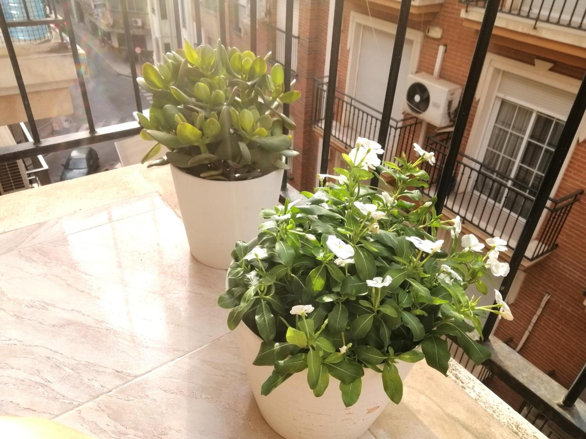Centrico Vara De Rey Apartamento *