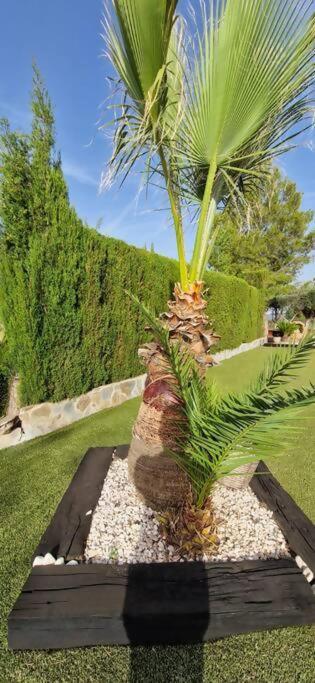 Villa Simon Rural 52 Murcia