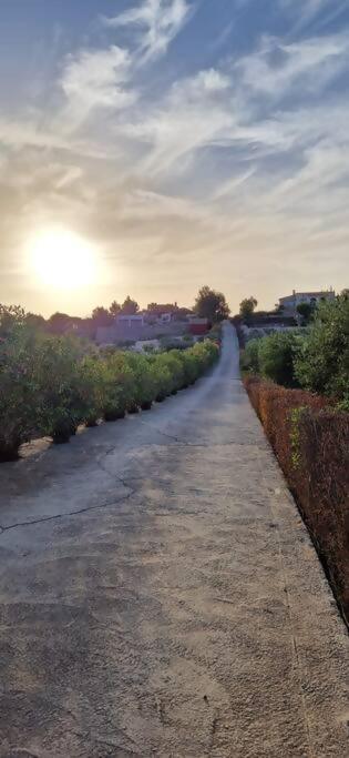 Villa Simon Rural 52 Murcia