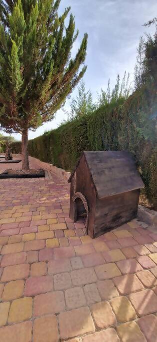 Simon Rural 52 * Murcia