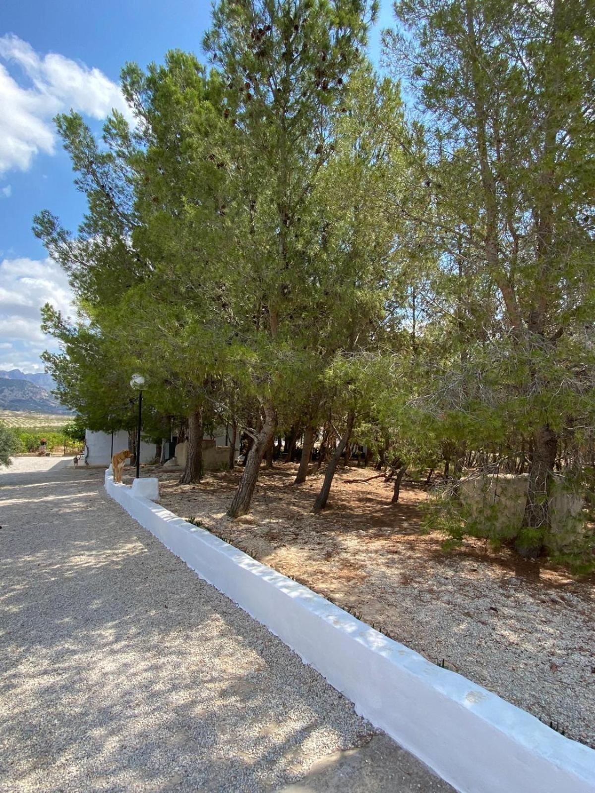 Eco House In The Valley Hotel en barco