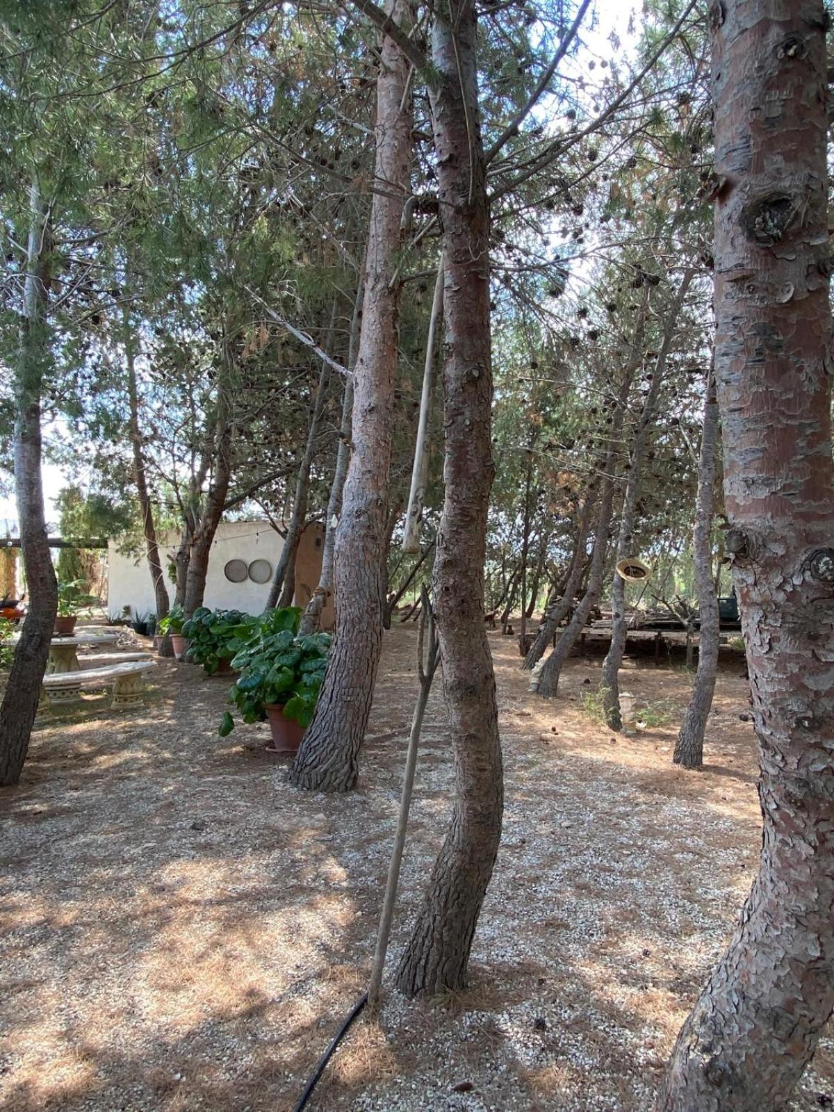 Hotel en barco Eco House In The Valley *