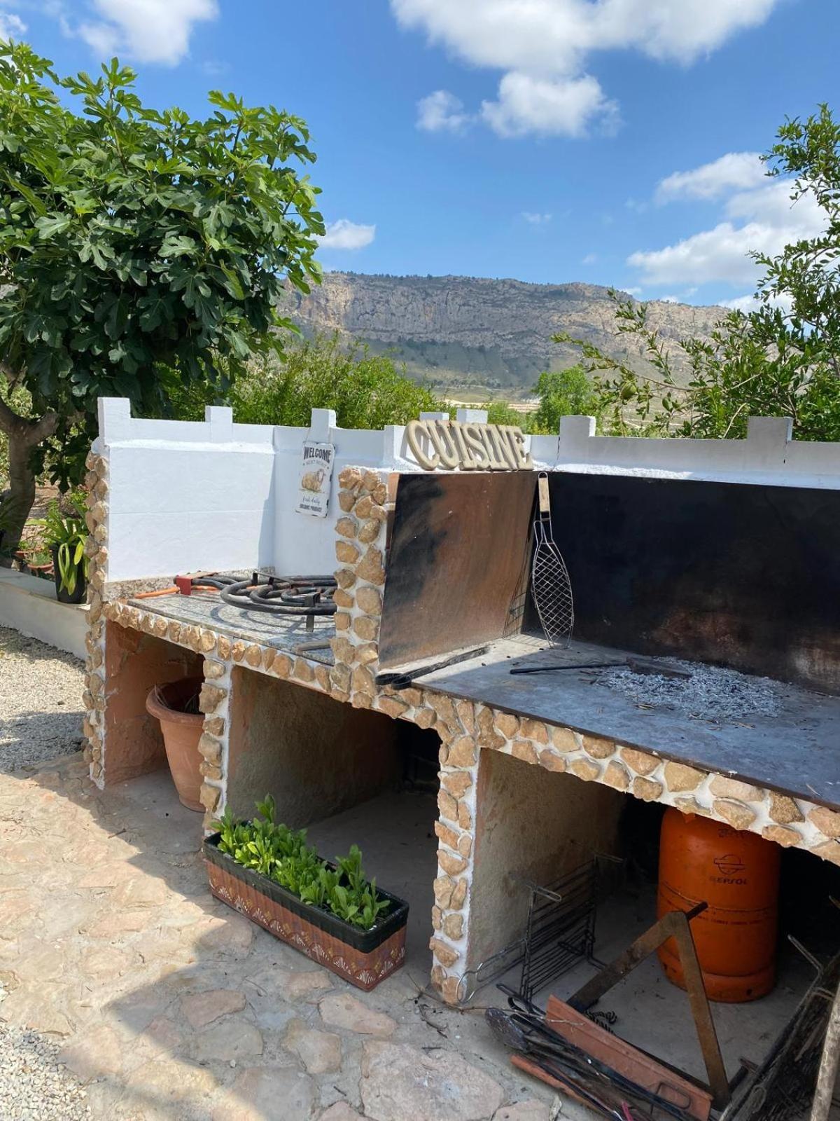 Eco House In The Valley