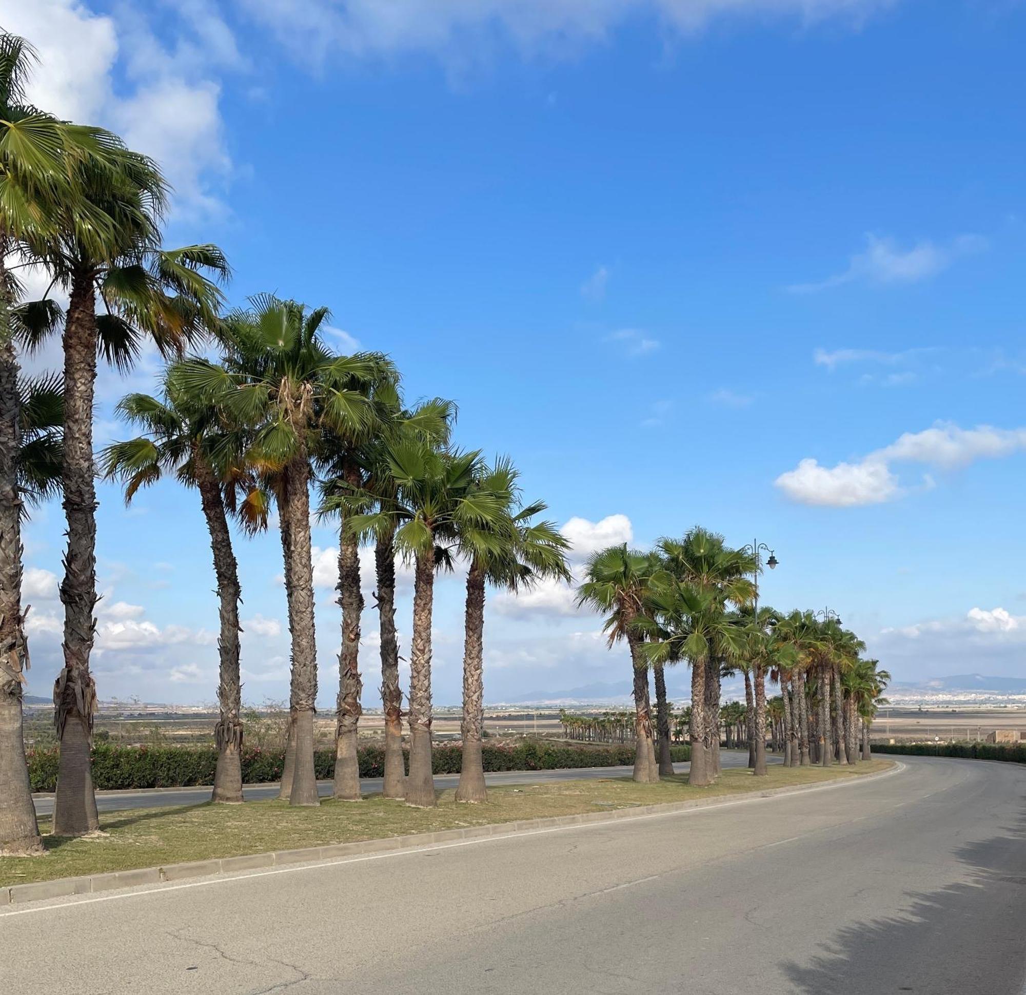 Casa Diana Golf * Murcia