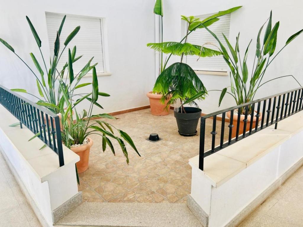 Apartamento Casa Aurora - Hacienda Riquelme Golf