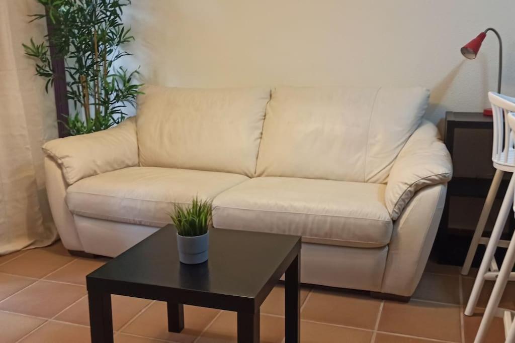Apartamento En Archena Paraiso Termal Al Lado Del Balneario Murcia