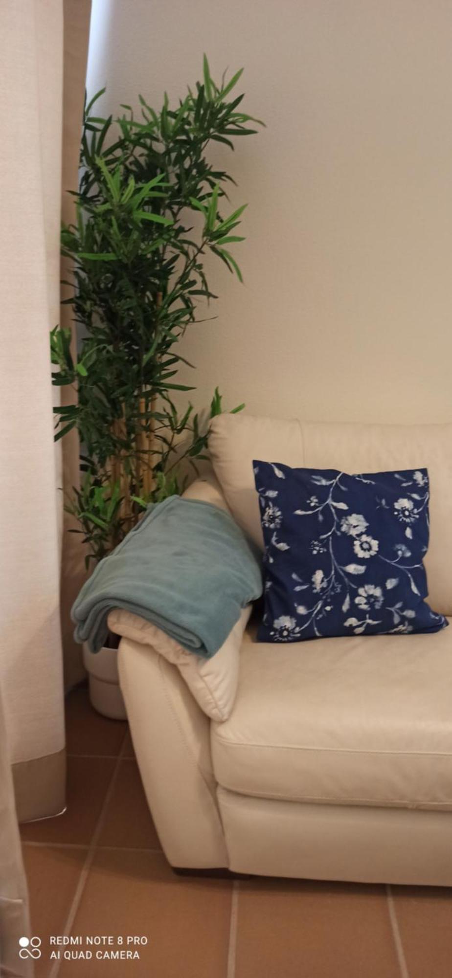 Apartamento En Archena Paraiso Termal Al Lado Del Balneario
