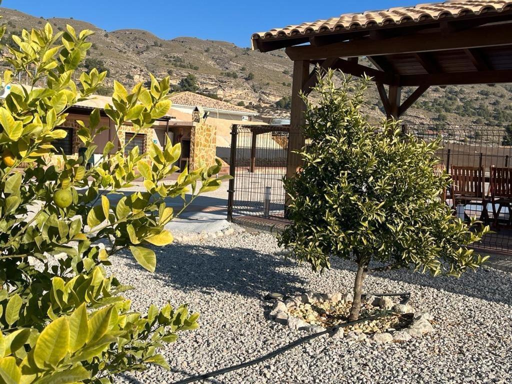 Villa Rural Casa Cueva *