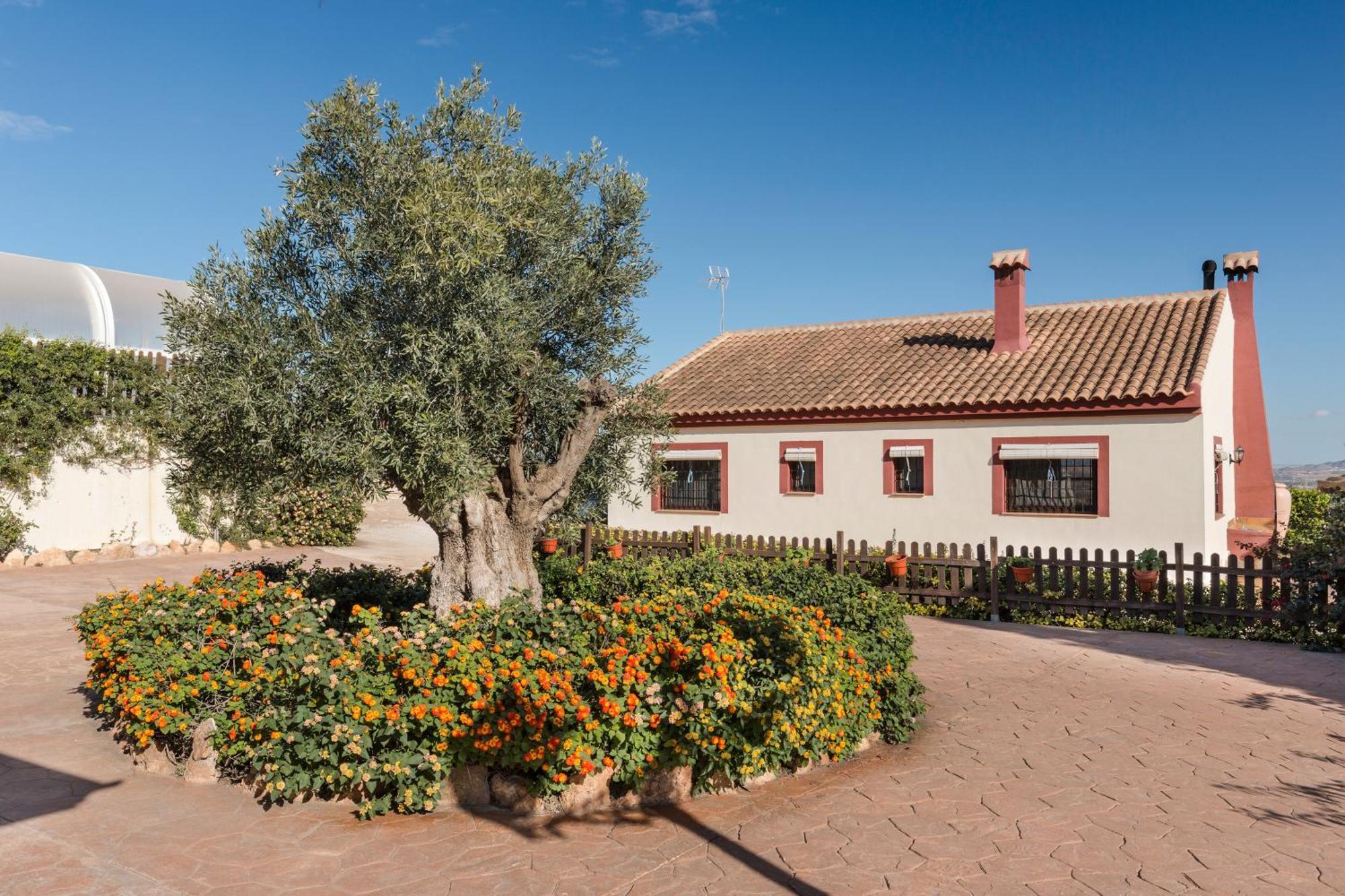 Casa rural Liarte *