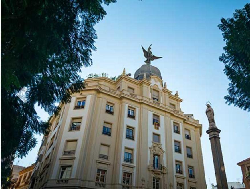 Flores Murcia