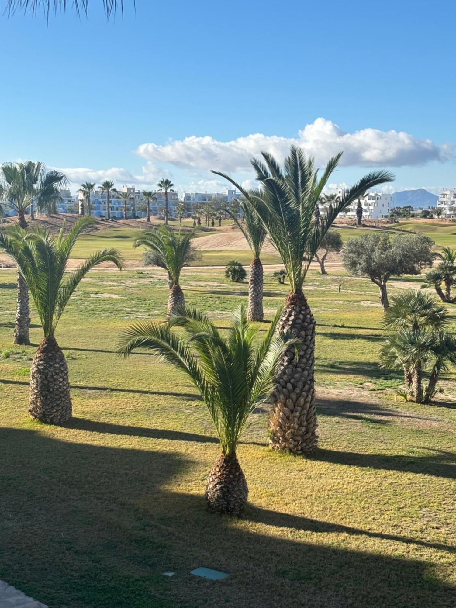 Apartamento Casa Helen Terrazas De La Torre - Blue Sky Murcia