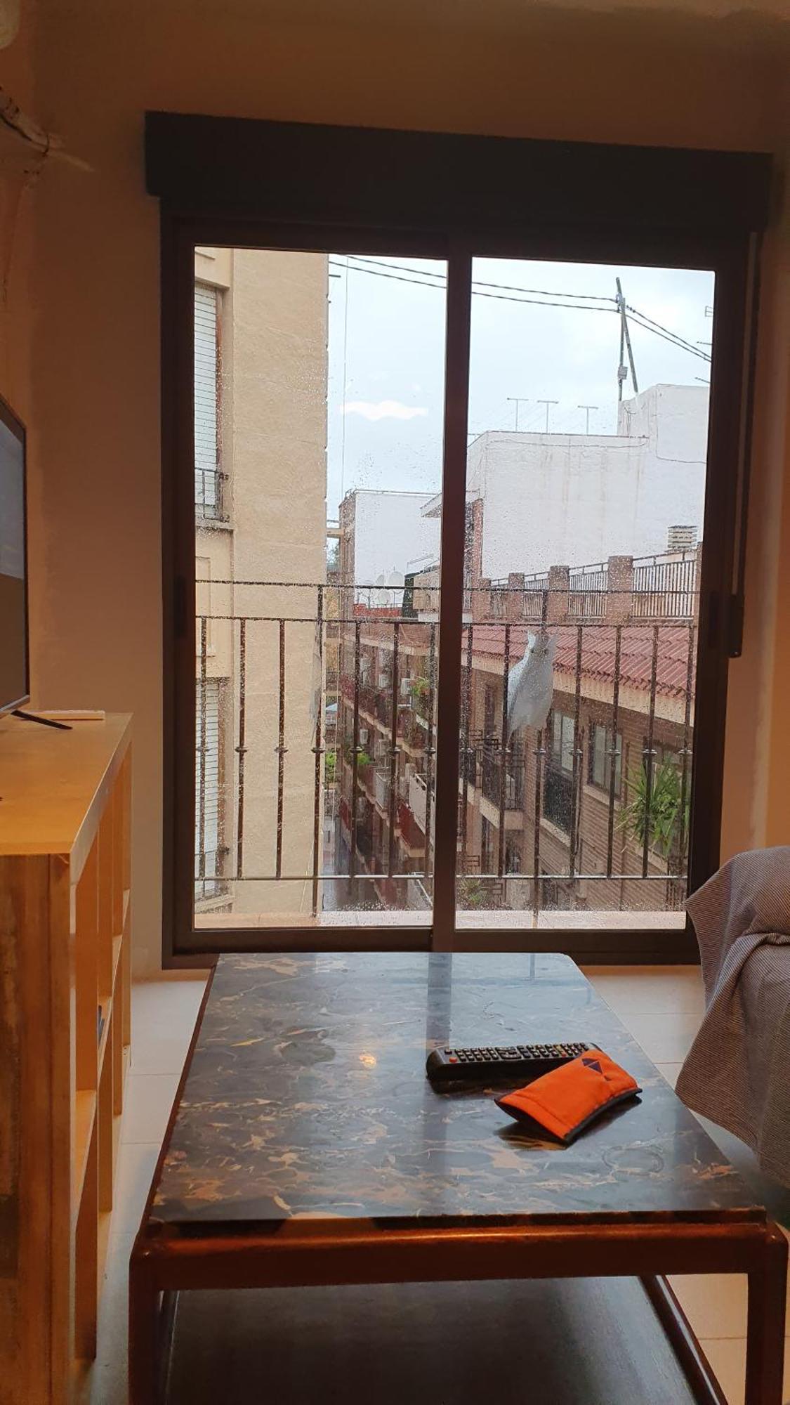 Apartamento Búhos Murcia