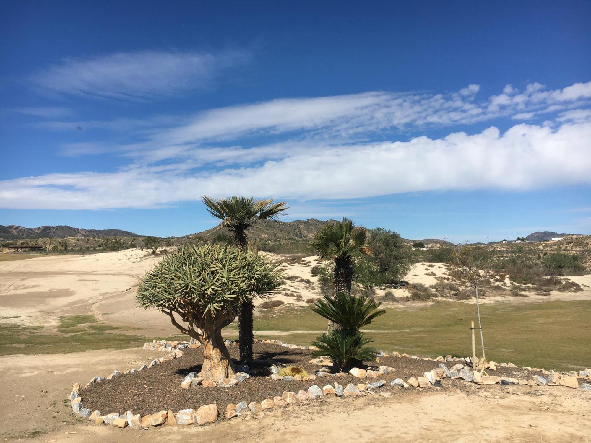 Brand New Sunny Golfing * Murcia
